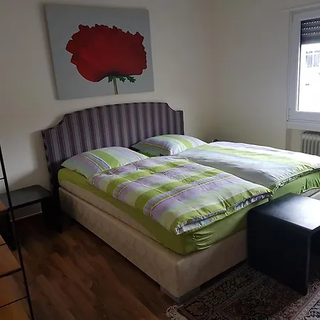 Modern Comfort Apartment